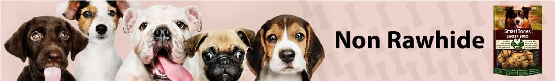 dog banner image